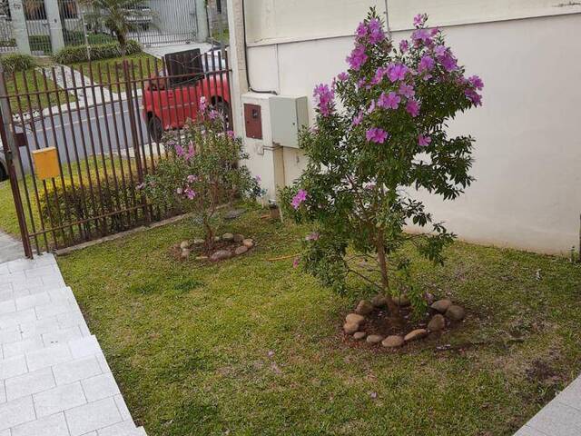 #1018 - Casa para Locação em Curitiba - PR - 3