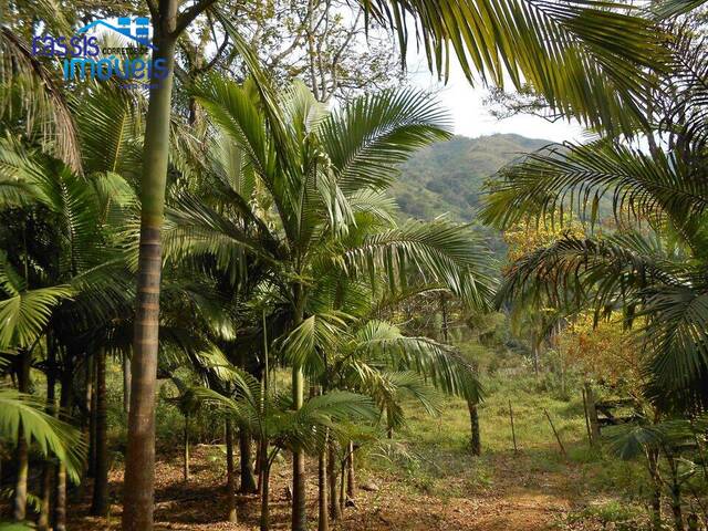 #1132 - Chácara para Venda em Colombo - PR - 1