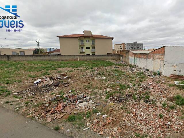 Área para Venda em Colombo - 5