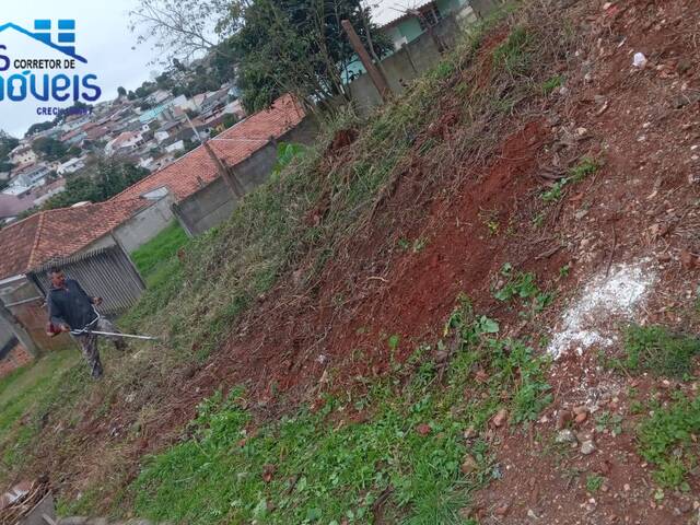 Área para Venda em Colombo - 4