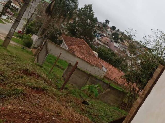 Área para Venda em Colombo - 5