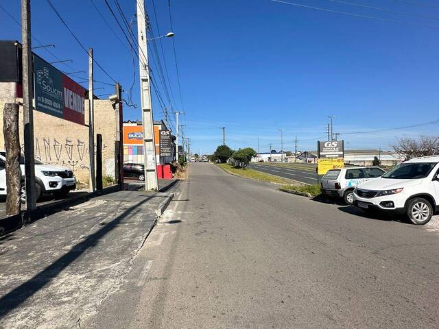 Área para Venda em Colombo - 5