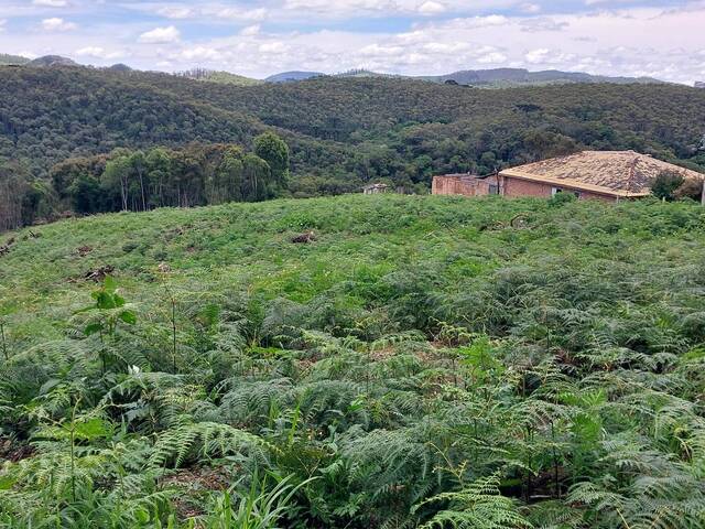 #1248 - Chácara para Venda em Bocaiúva do Sul - PR - 1