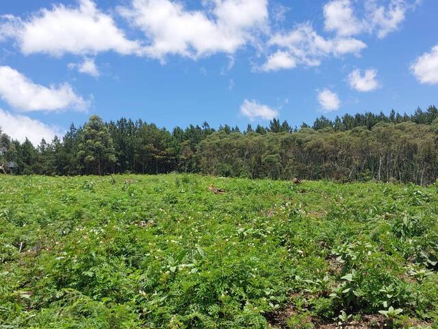 #1248 - Chácara para Venda em Bocaiúva do Sul - PR - 3