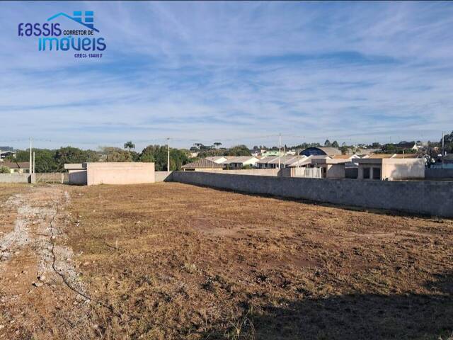 #1264 - Área para Venda em Colombo - PR - 1