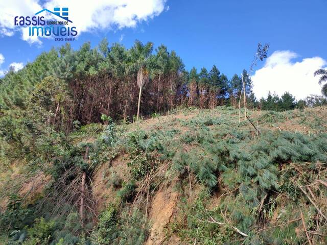 #1265 - Área para Venda em Bocaiúva do Sul - PR - 1