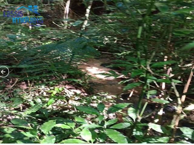 #1265 - Área para Venda em Bocaiúva do Sul - PR - 3