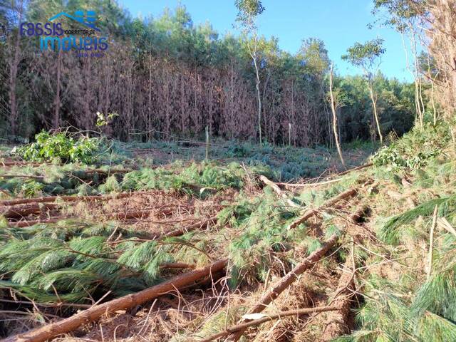 Área para Venda em Bocaiúva do Sul - 4
