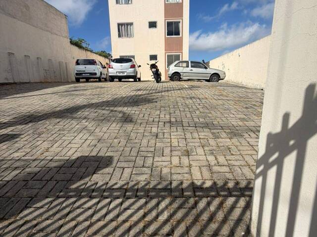 Apartamento para Locação em Colombo - 5