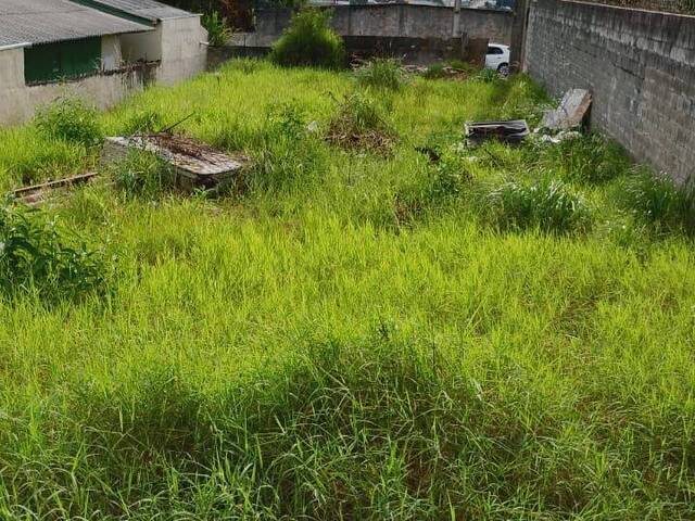 Terreno para Venda em Colombo - 5