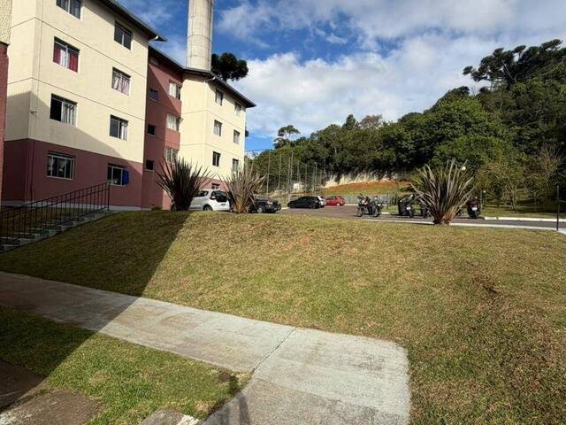 #1293 - Apartamento para Venda em Curitiba - PR - 2