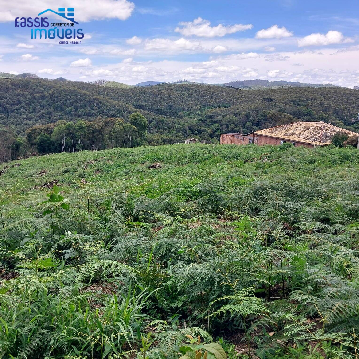 Terreno, 5000 m² - Foto 1