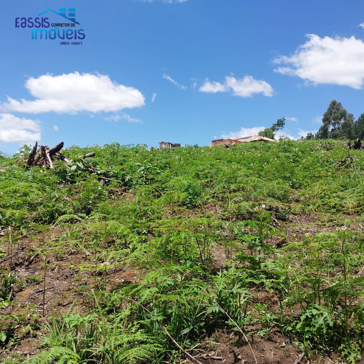 Terreno, 5000 m² - Foto 4