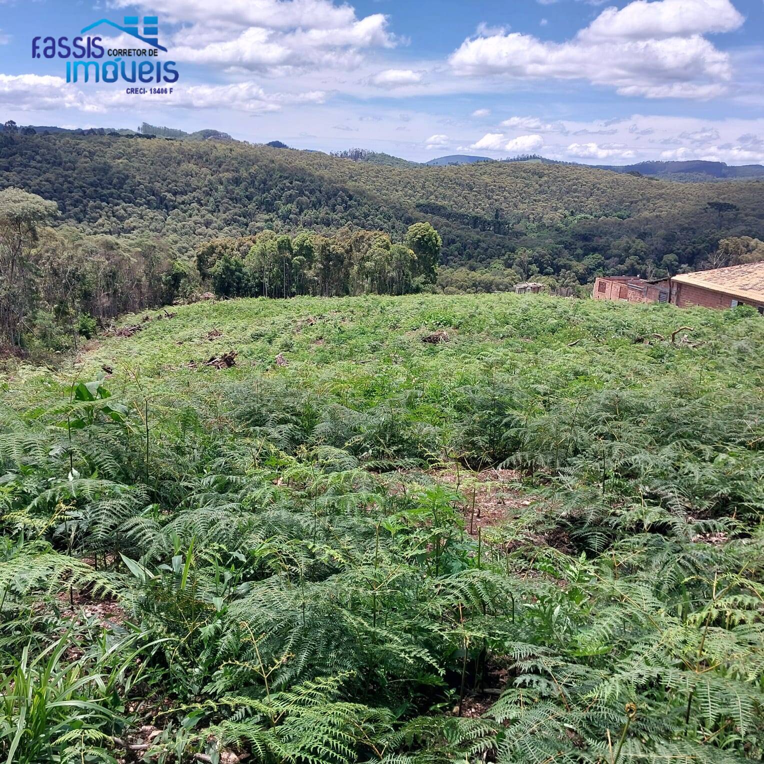 Terreno, 5000 m² - Foto 7