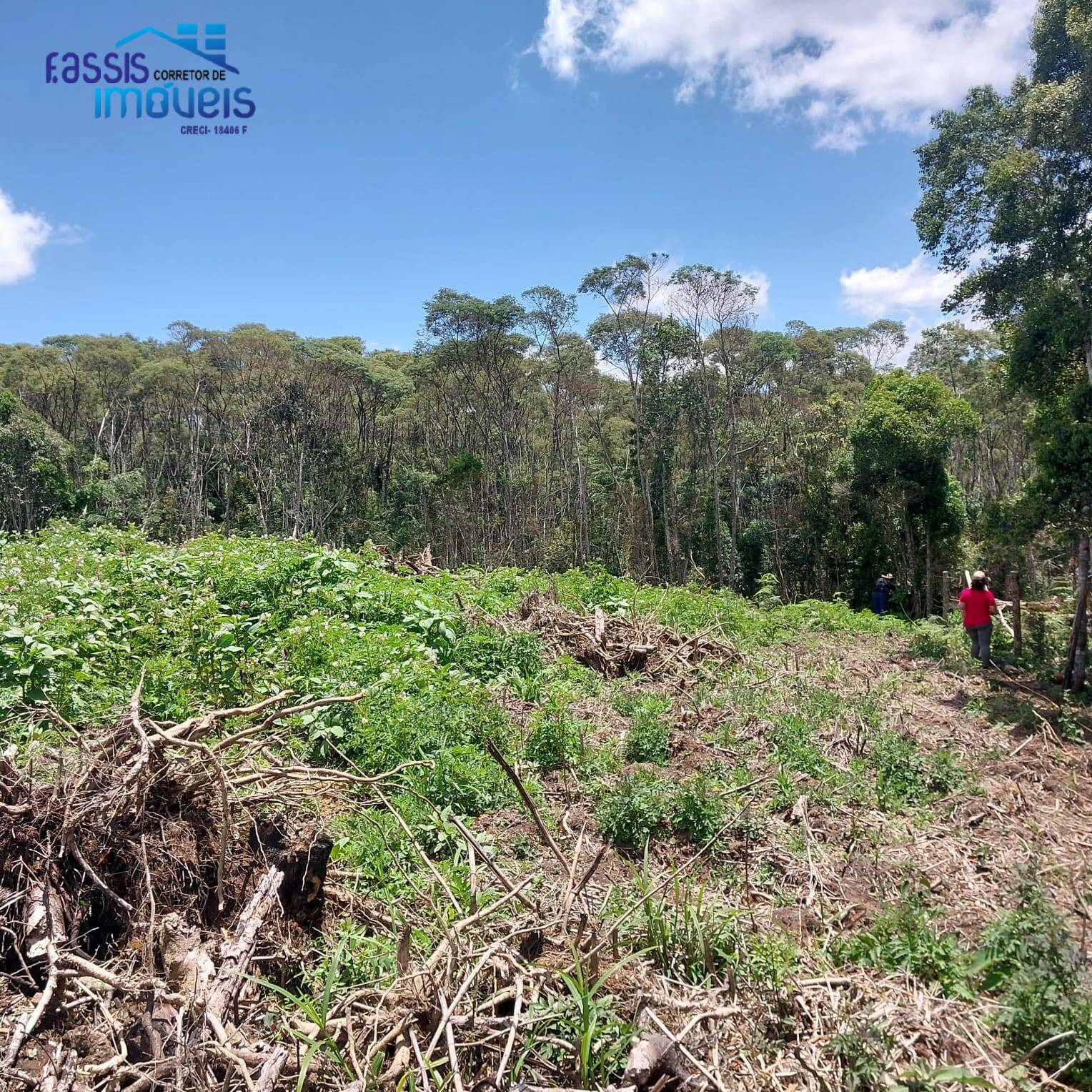 Terreno, 5000 m² - Foto 8