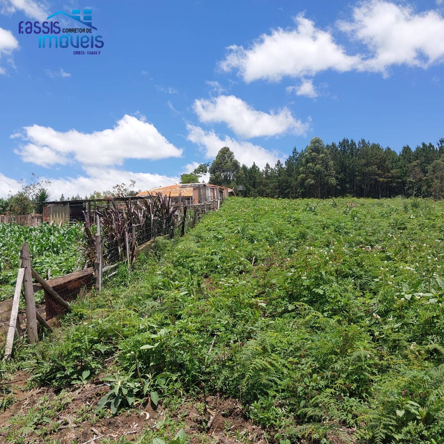 Terreno, 5000 m² - Foto 10