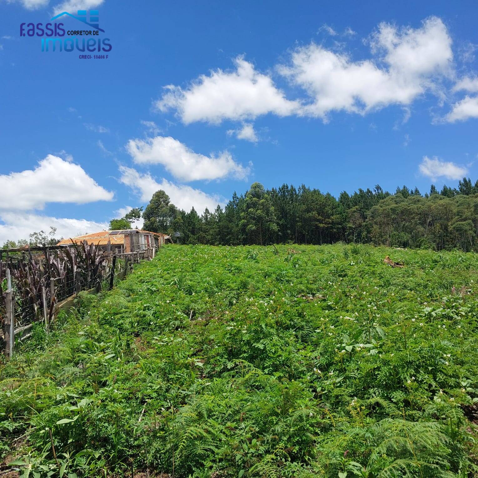 Terreno, 5000 m² - Foto 13