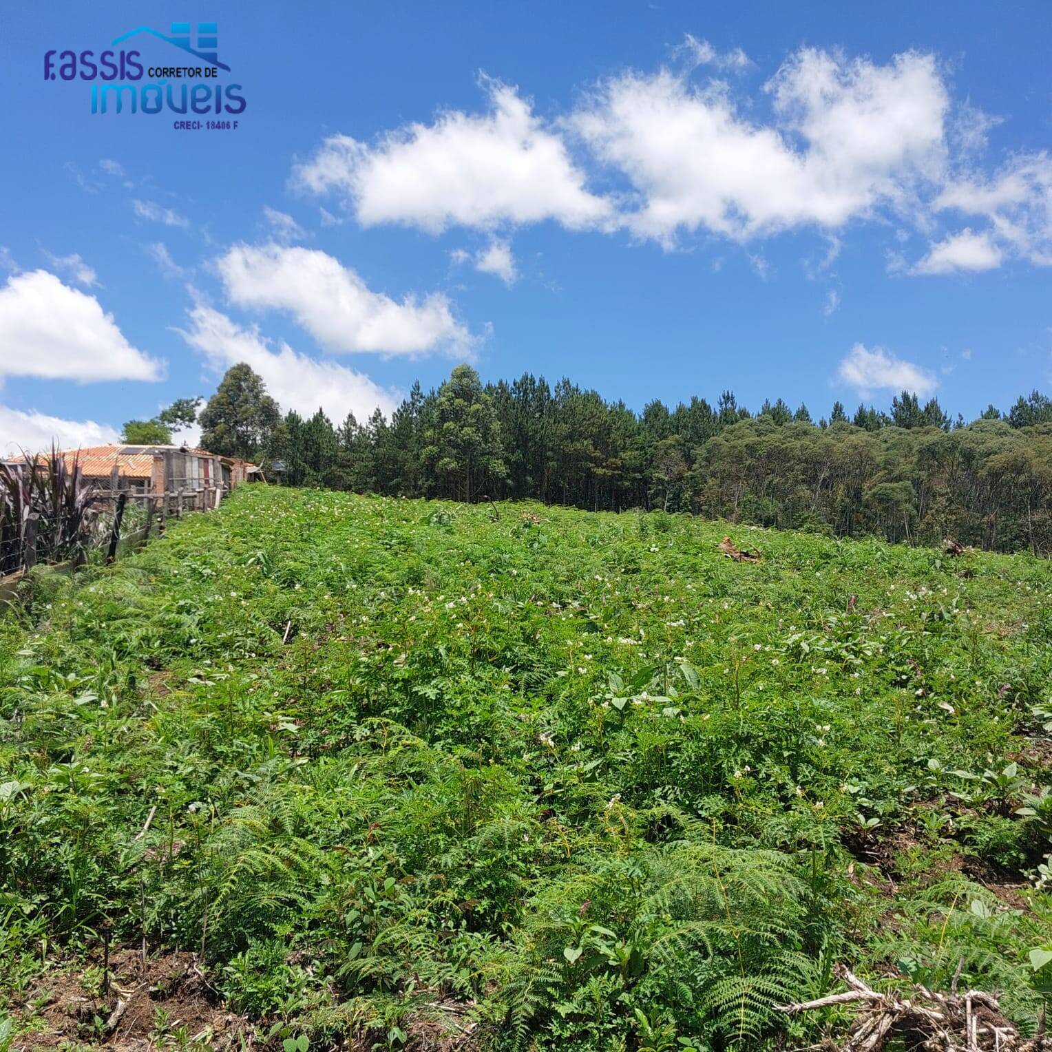 Terreno, 5000 m² - Foto 14