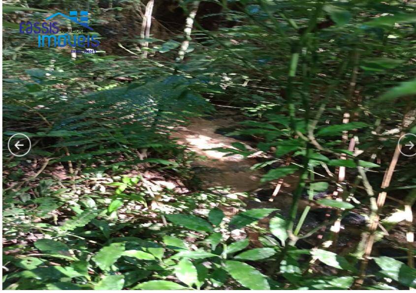 Terreno, 2 hectares - Foto 3