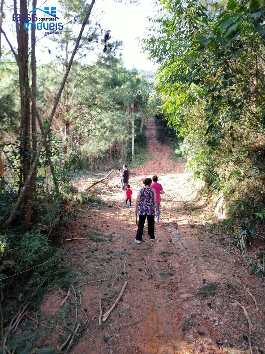 Terreno, 2 hectares - Foto 5