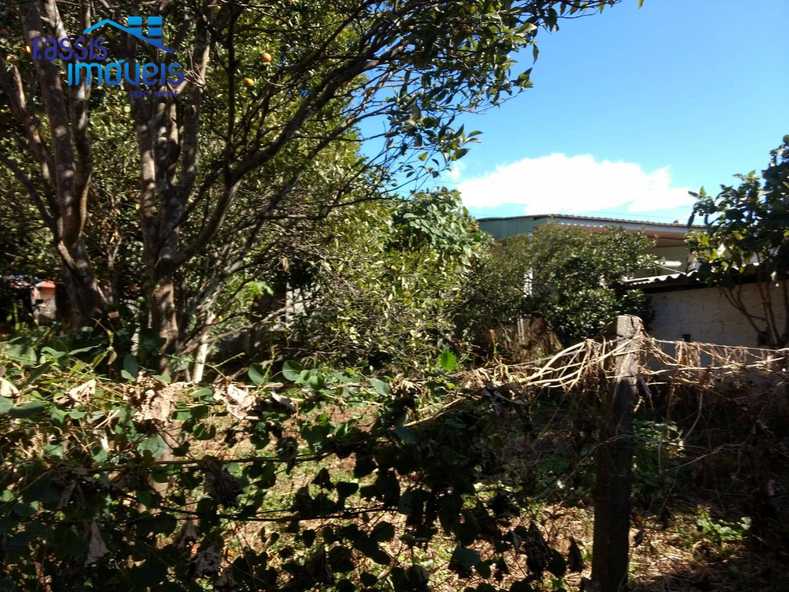 Casa, 4 quartos, 182 m² - Foto 5