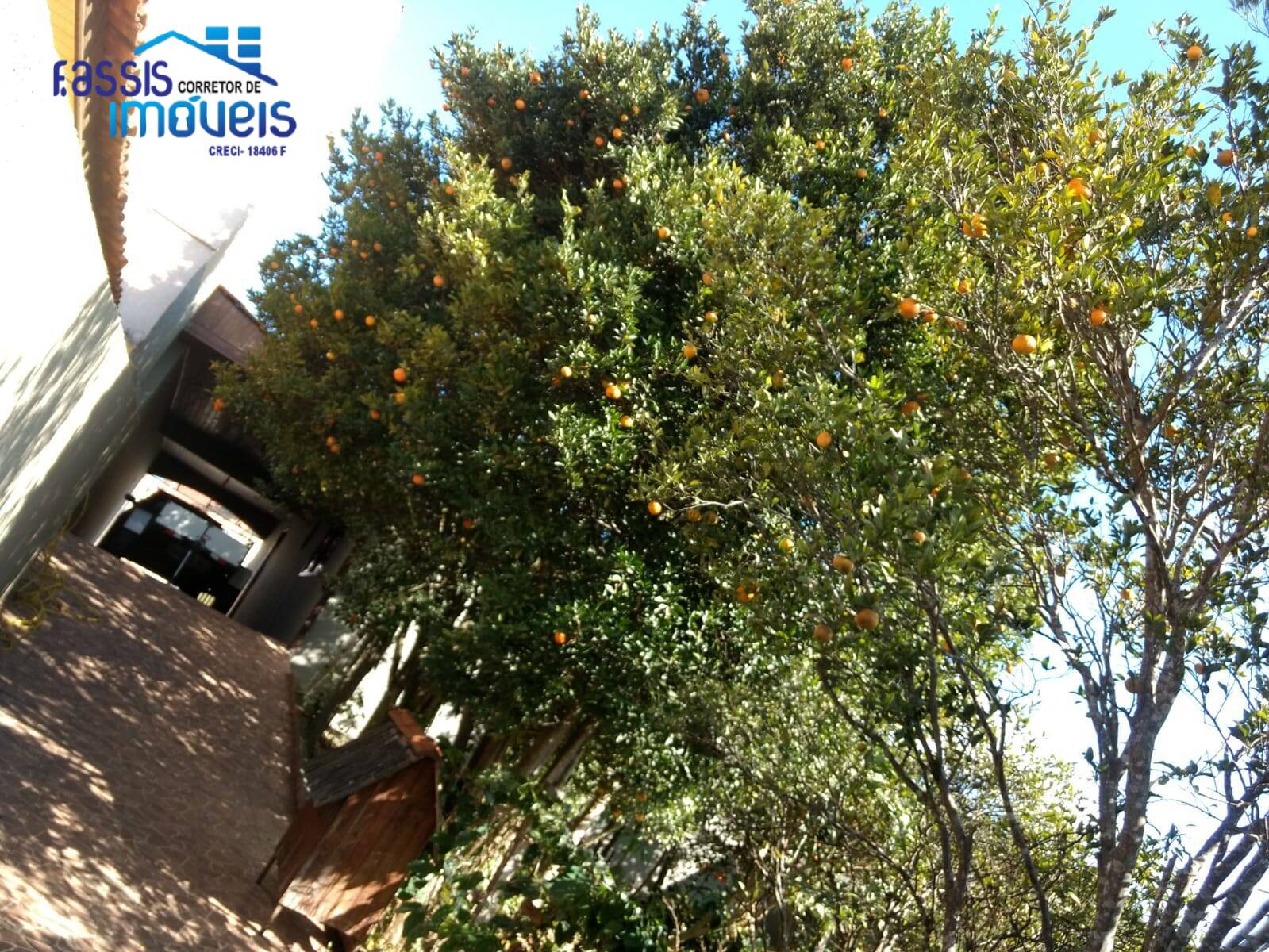 Casa, 4 quartos, 182 m² - Foto 11